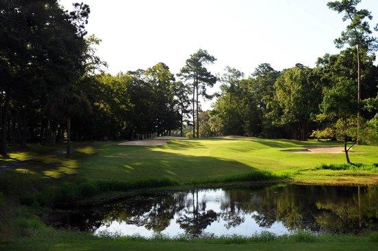 Snee Farm Country Club